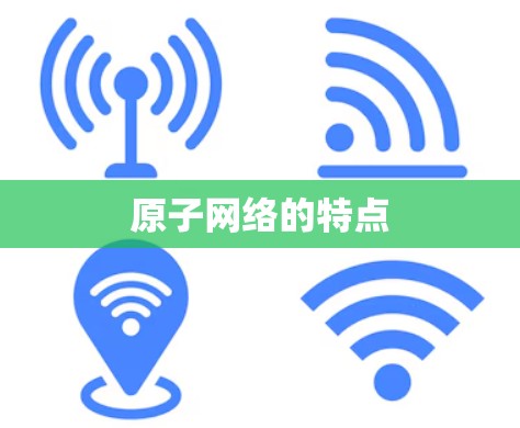 原子网络的特点 原子网络的特点