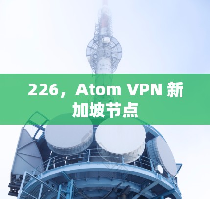 226，Atom VPN 新加坡节点