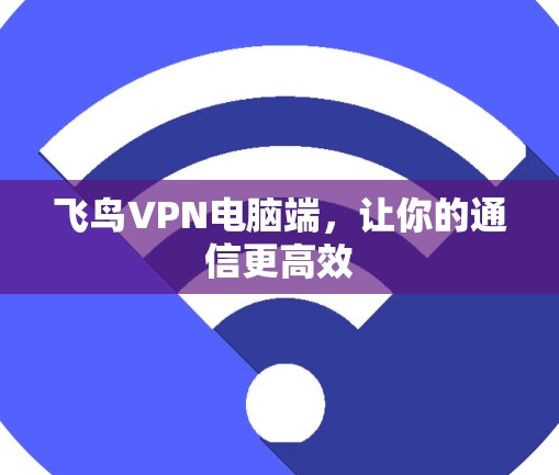 飞鸟VPN电脑端,让你的通信更高效