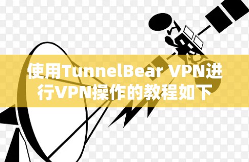 使用TunnelBear VPN进行VPN操作的教程如下