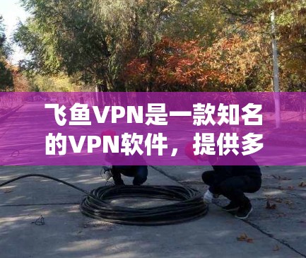 飞鱼VPN是一款知名的VPN软件，提供多种加密方式和丰富的功能，旨在为用户提供安全、便捷的VPN体验。以下是关于飞鱼VPN的详细介绍