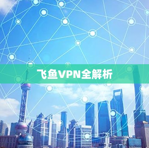 飞鱼VPN全解析