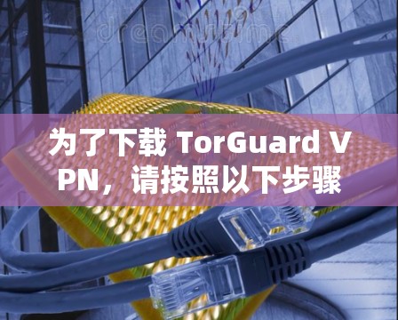 为了下载 TorGuard VPN,请按照以下步骤操作