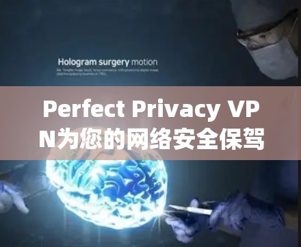 Perfect Privacy VPN为您的网络安全保驾护航