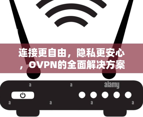 连接更自由，隐私更安心，OVPN的全面解决方案