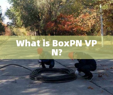 What is BoxPN VPN?
