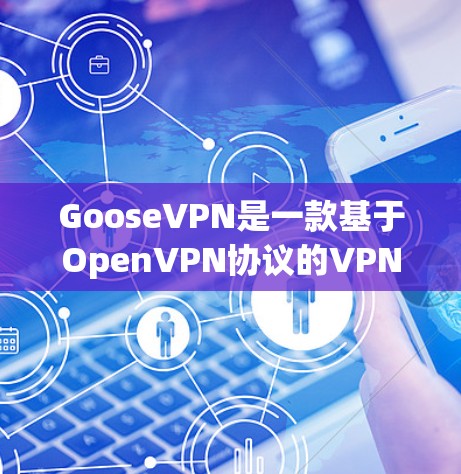 GooseVPN是一款基于OpenVPN协议的VPN服务，提供安全、可靠的网络连接体验。以下是对GooseVPN的详细评测