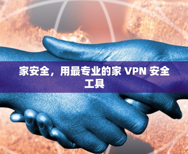 家安全,用最专业的家 VPN 安全工具
