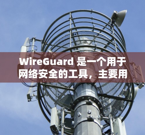 WireGuard 是一个用于网络安全的工具,主要用于实现网络权限管理、防火墙配置、安全模式的设置以及数据备份与恢复。以下是对WireGuard的使用说明