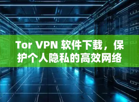 Tor VPN 软件下载,保护个人隐私的高效网络连接