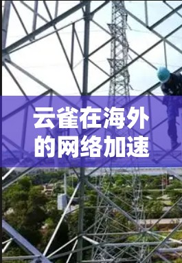 云雀在海外的网络加速器服务覆盖了多种类型和平台,提供多样化的选择。以下是对云雀在海外的主要信息的总结
