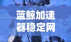蓝鲸加速器稳定网络解决方案