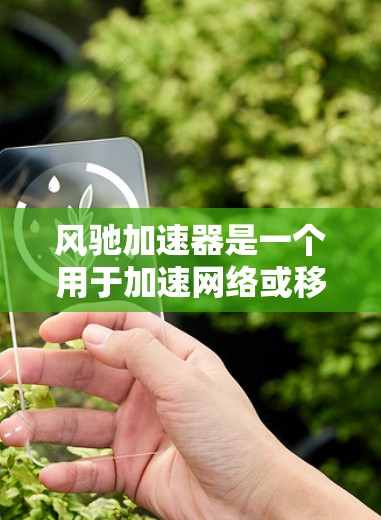 风驰加速器是一个用于加速网络或移动设备的工具。为了下载并安装风驰加速器，您可以按照以下步骤操作