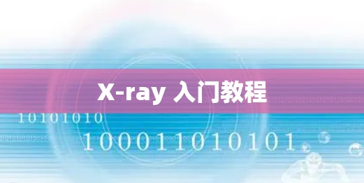 X-ray 入门教程
