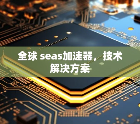 全球 seas加速器，技术解决方案